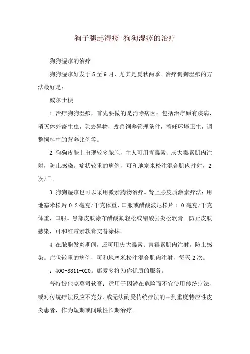 狗子腿起湿疹-狗狗湿疹的治疗