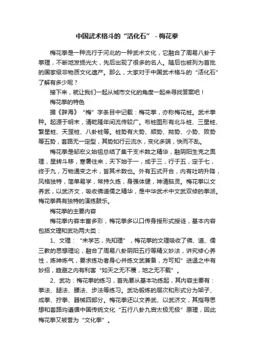 中国武术格斗的“活化石”－梅花拳