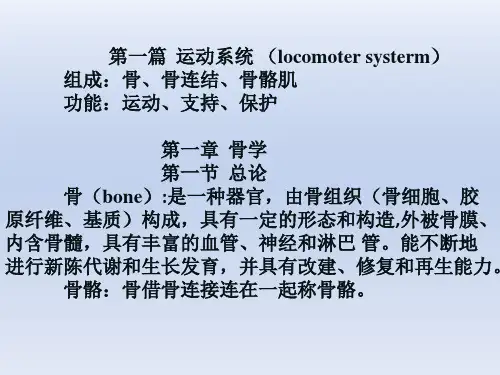 人体解剖学ppt课件第一章