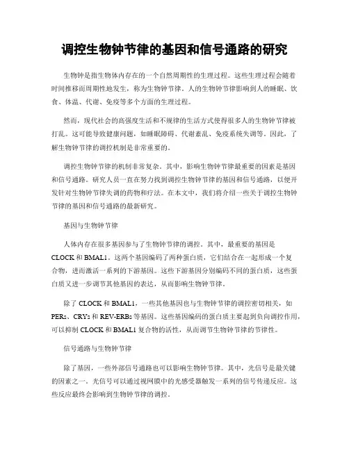 调控生物钟节律的基因和信号通路的研究