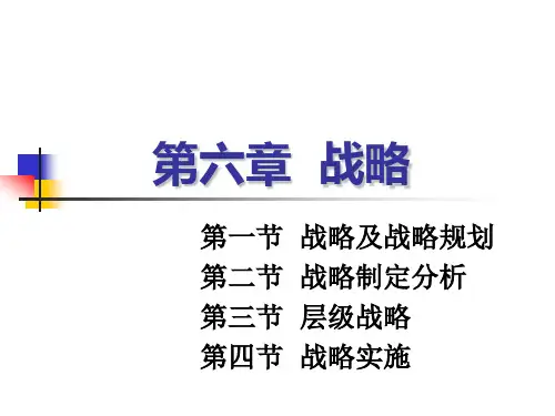 06战略知识点