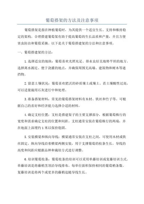 葡萄搭架的方法及注意事项