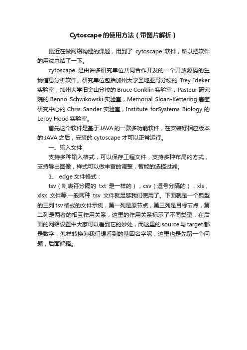 Cytoscape的使用方法（带图片解析）