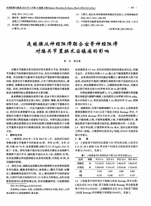 连续腰丛神经阻滞联合坐骨神经阻滞对膝关节置换术后镇痛的影响