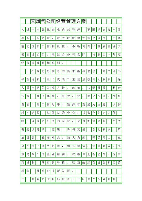 天然气公司经营管理方案精品策划方案