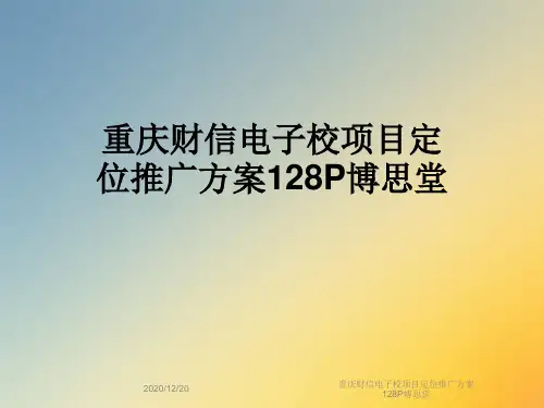 重庆财信电子校项目定位推广方案128P博思堂