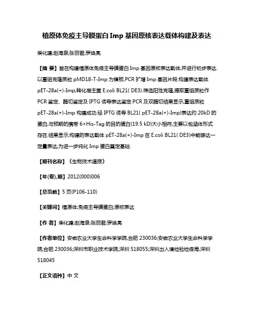 植原体免疫主导膜蛋白Imp基因原核表达载体构建及表达