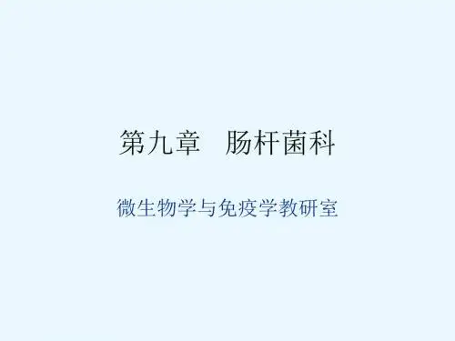 微肠杆菌科,弧菌,螺旋菌属