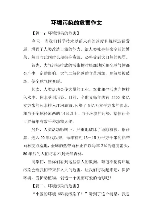 环境污染的危害作文