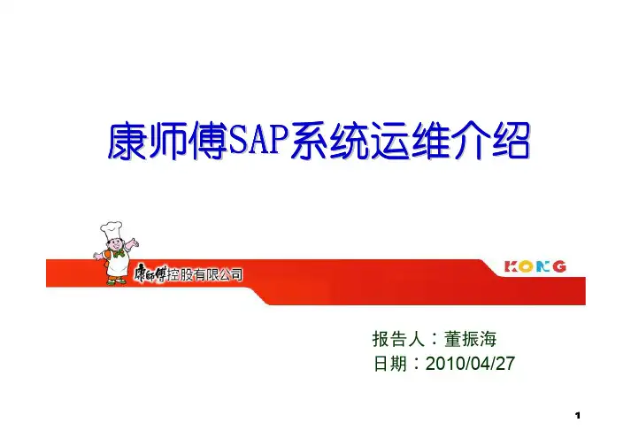 康师傅SAP系统运维介绍