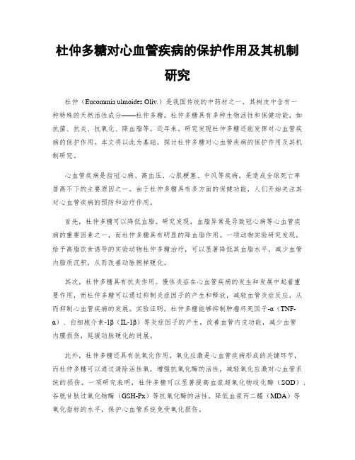 杜仲多糖对心血管疾病的保护作用及其机制研究