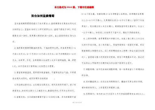 阳台如何盆栽葡萄