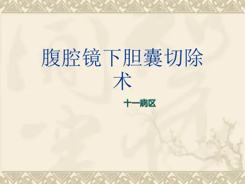 腹腔镜下胆囊切除术PPT课件