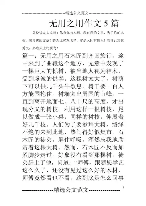 无用之用作文5篇