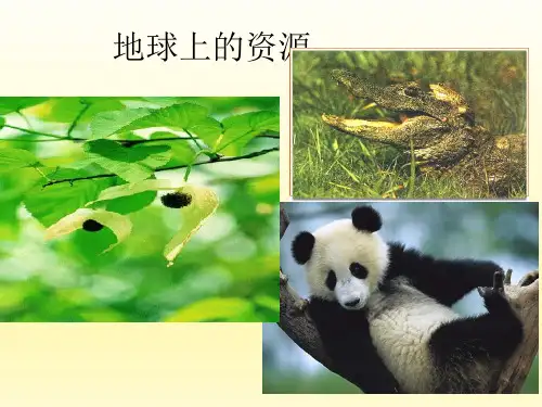 地球上的资源(本课为阅读课)_课件1
