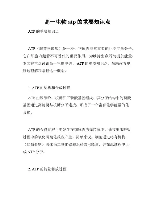 高一生物atp的重要知识点