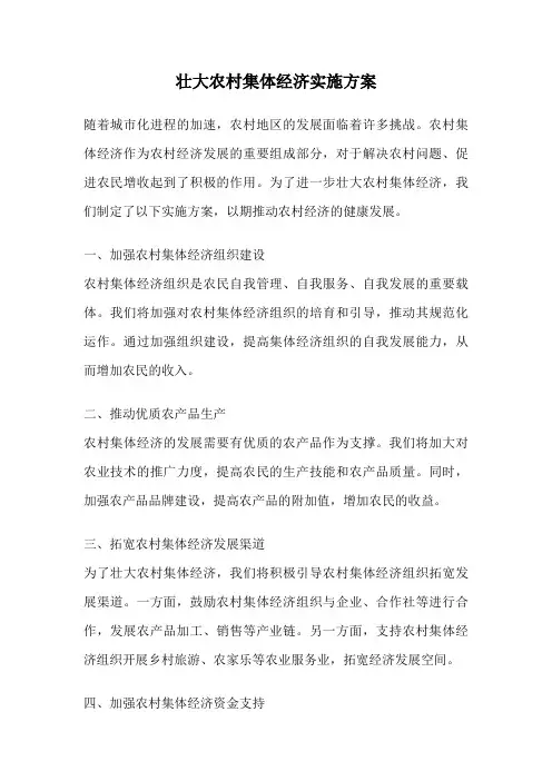 壮大农村集体经济实施方案