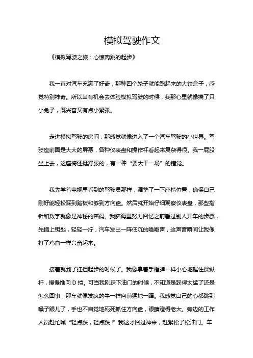 模拟驾驶作文