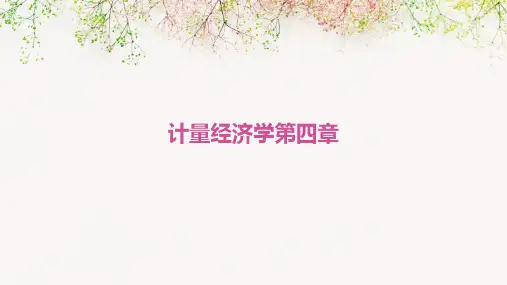 计量经济学 第四章