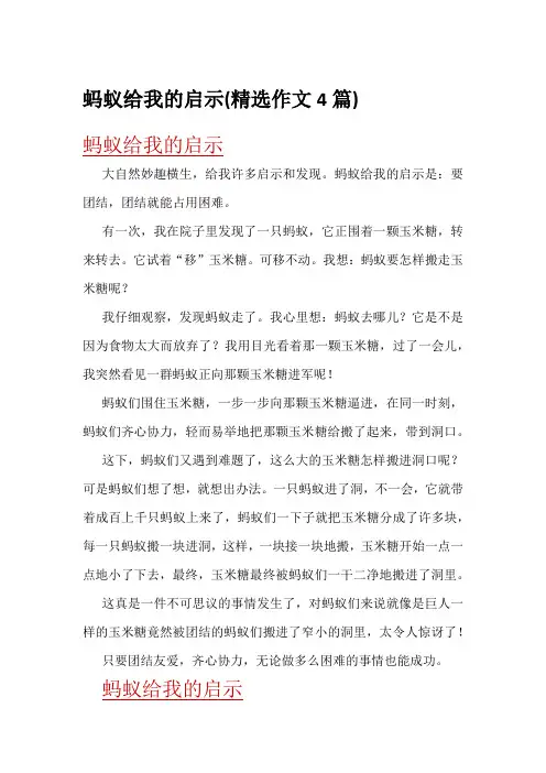 蚂蚁给我的启示(精选作文4篇)