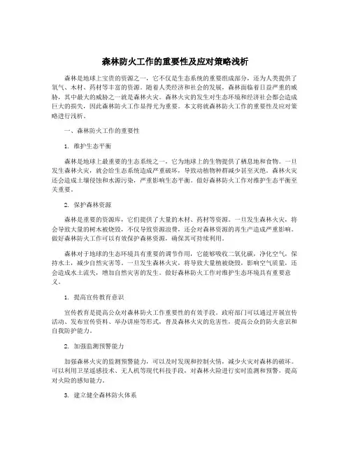 森林防火工作的重要性及应对策略浅析