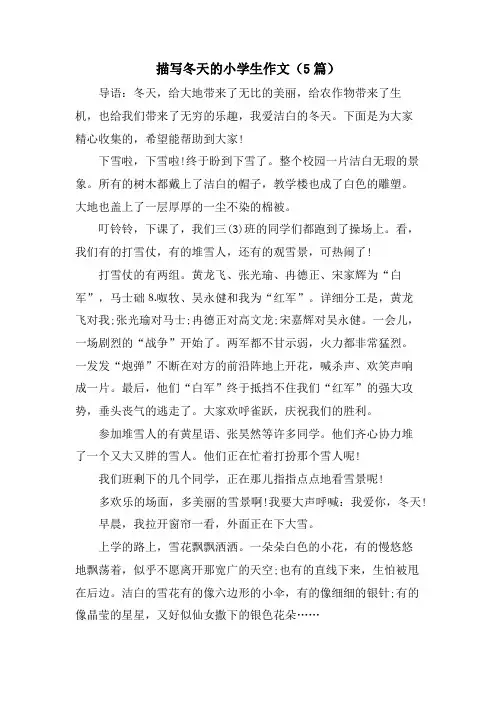 描写冬天的小学生作文(5篇)