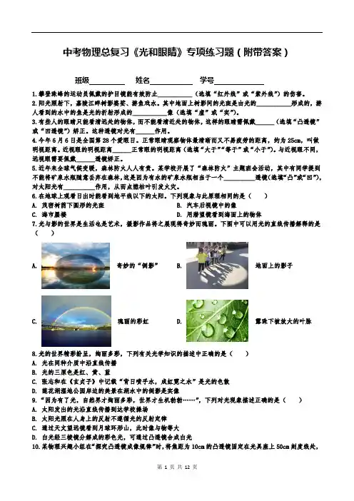 中考物理总复习《光和眼睛》专项练习题(附带答案)