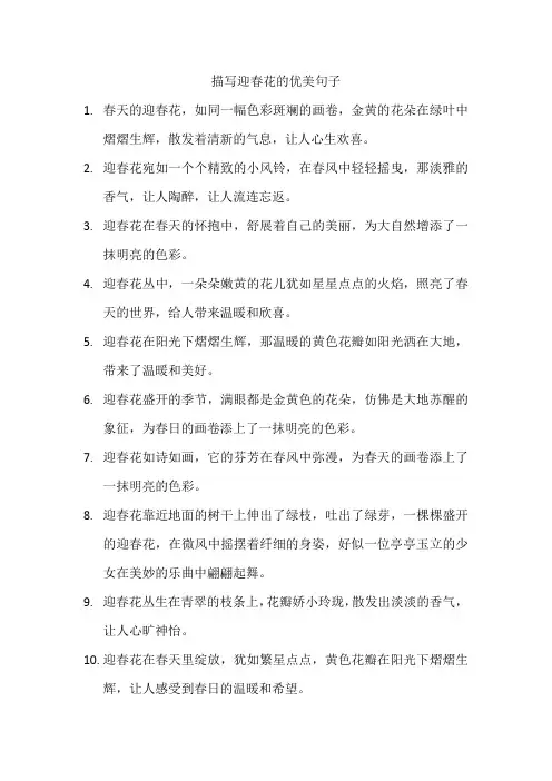 描写迎春花的优美句子