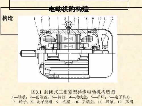 三相异步电动机的结构图