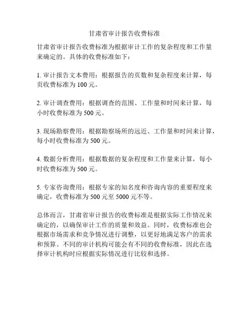甘肃省审计报告收费标准