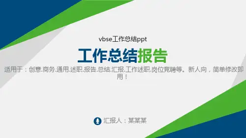 完美版PPT-vbse工作总结ppt