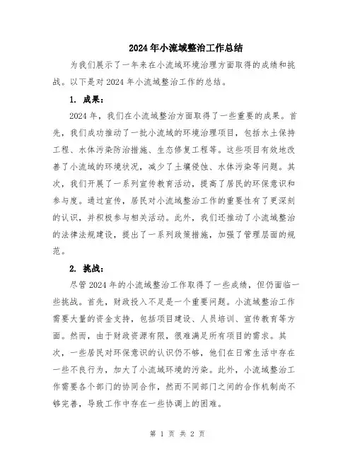 2024年小流域整治工作总结