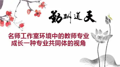 名师工作室环境中的教师专业成长一种专业共同体的视角