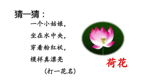 一年级下册语文优秀课件-12 古诗二首人教部编版 (49页PPT)