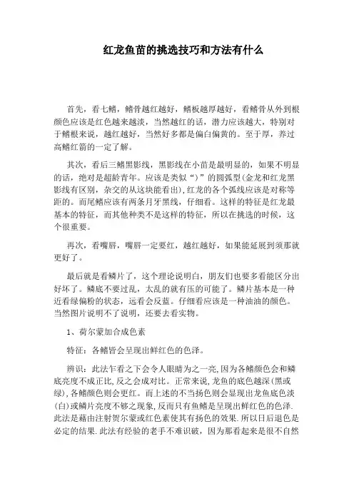 红龙鱼苗的挑选技巧和方法有什么