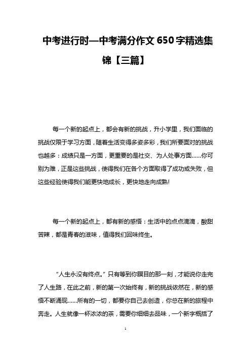 中考进行时—中考满分作文650字精选集锦【三篇】
