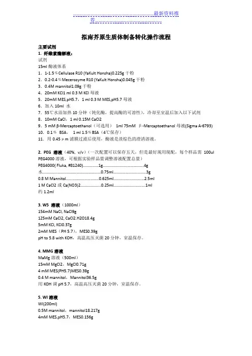 拟南芥原生质体的制备及转化