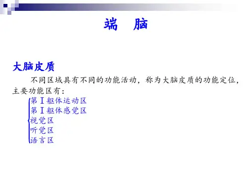 大脑皮质 不同区域具有不同的功能活动,称为大脑皮质的功