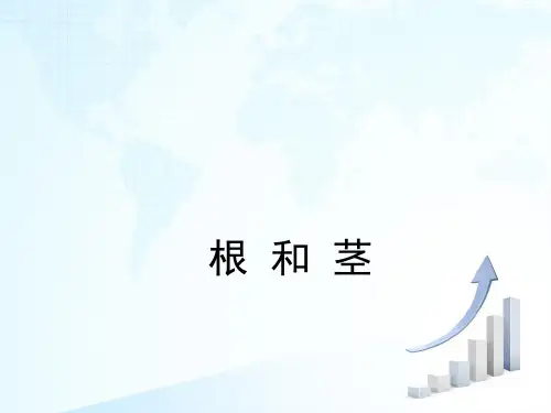 苏教版科学三年级下册 6  《根和茎》教学课件