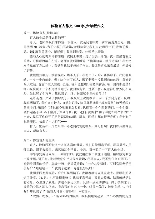 体验盲人作文500字_六年级作文