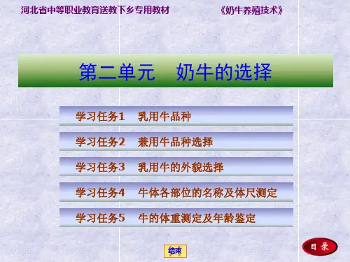 奶牛的选择