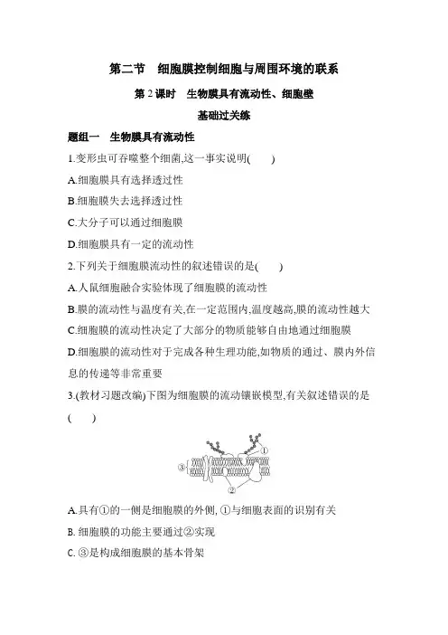 浙科版高中生物必修1第二章细胞的结构第二节第2课时生物膜具有流动性、细胞壁练习含答案