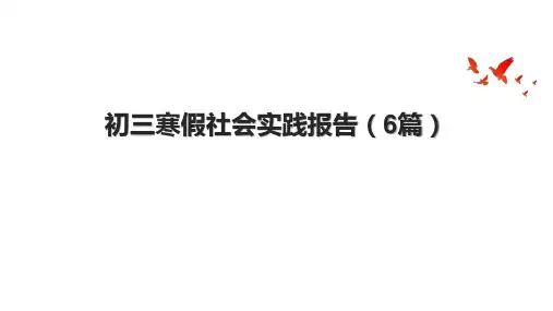初三寒假社会实践报告(6篇)