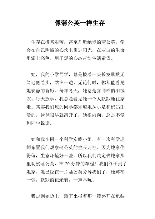 像蒲公英一样生存