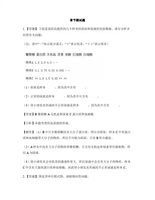 初中生物河北少儿版七年级下册第三章 健肺强肾 精力充沛第二节 排泄-章节测试习题(4)