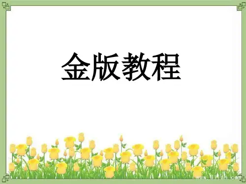金版教程