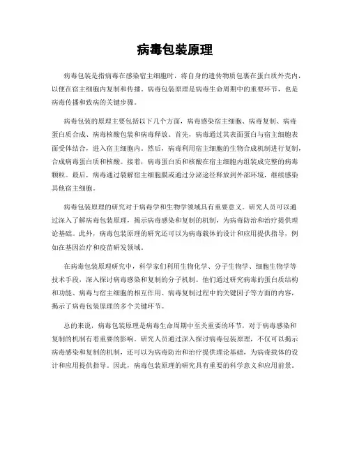 病毒包装原理