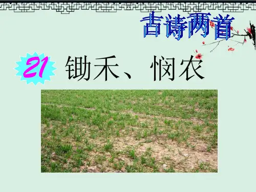 课件古诗两首《锄禾》《悯农》PPT教育课件