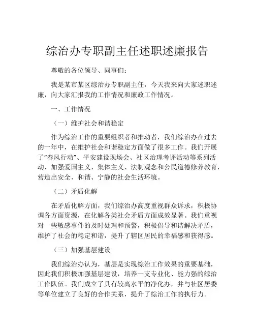综治办专职副主任述职述廉报告