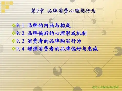 消费者行为学课件20120903第9章